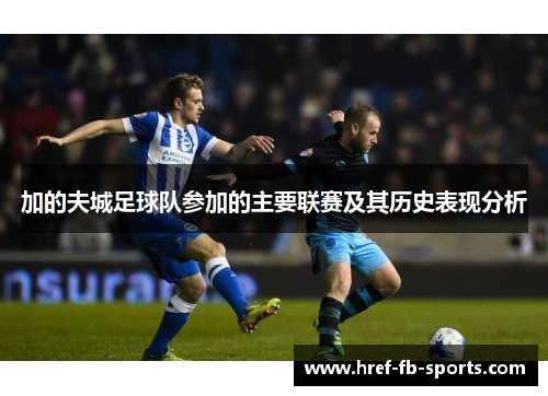 加的夫城足球队参加的主要联赛及其历史表现分析 加的夫城足球队参加的主要联赛及其历史表现分析