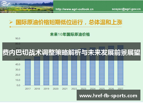 费内巴切战术调整策略解析与未来发展前景展望