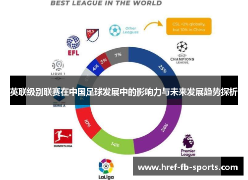 英联级别联赛在中国足球发展中的影响力与未来发展趋势探析