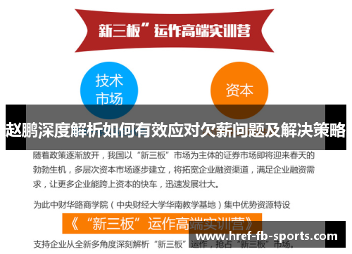 赵鹏深度解析如何有效应对欠薪问题及解决策略