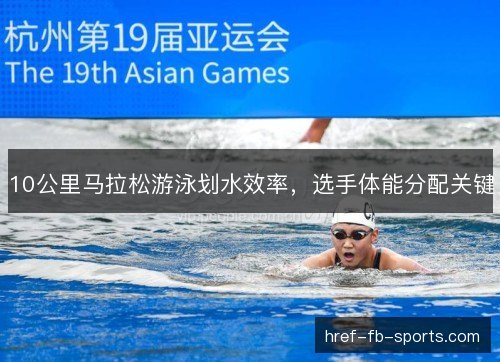 10公里马拉松游泳划水效率,选手体能分配关键 10公里马拉松游泳划水效率,选手体能分配关键